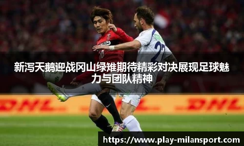 新泻天鹅迎战冈山绿雉期待精彩对决展现足球魅力与团队精神